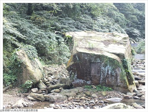 白雲古道 (22).JPG - 康誥坑溪山櫻花