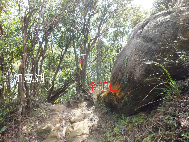 e33174ecf5fd21887601cc6513a13acd.jpg