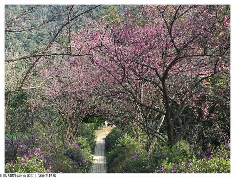 太極嶺 (39).JPG - 太極嶺、五城山