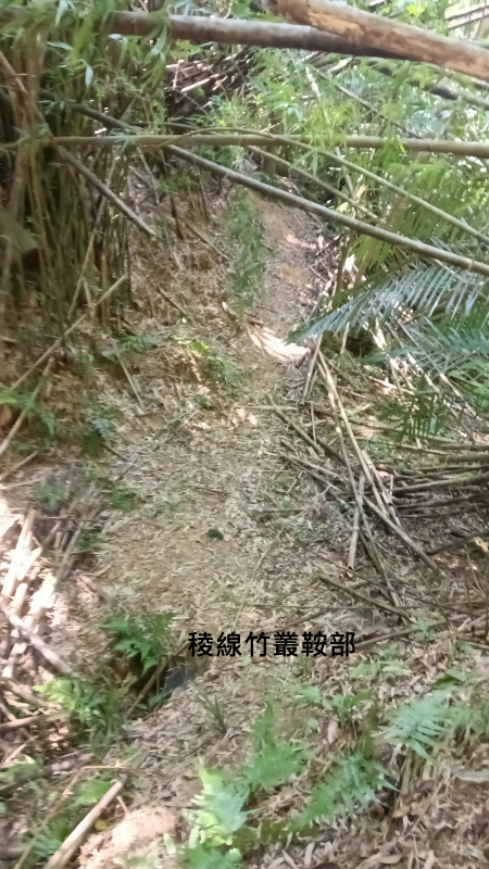 e459cccadcc1dbb53ed33073533ff4be.png