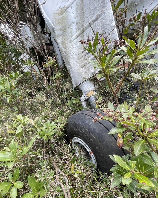e473f8ac140fa80a55bfb71de936ab40.jpg