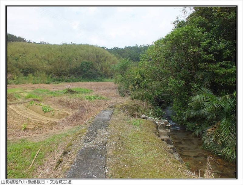 嶺頭觀日、文秀坑古道 (72).jpg - 嶺頭觀日、文秀坑古道