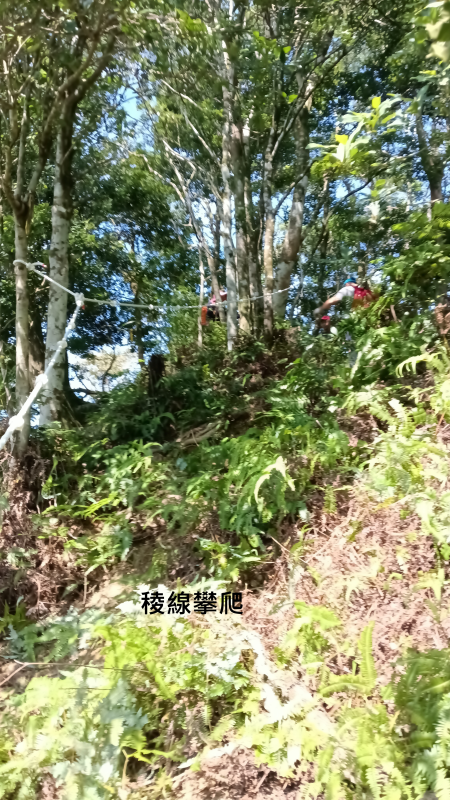 e49d3ecedc62fd2d79c126a77a50f5b7.png