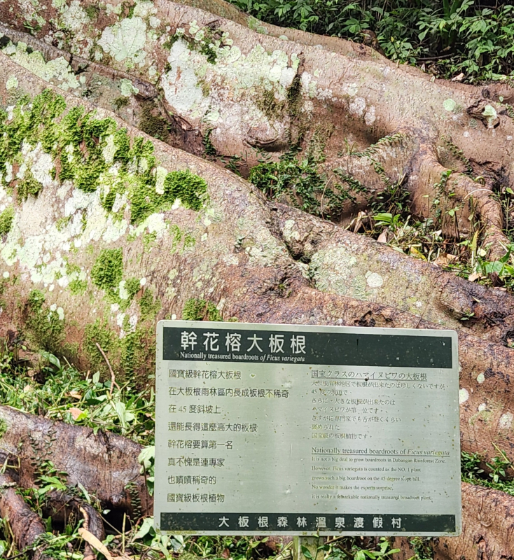 e4dd5d525939707f2c3696dea8d21e01.jpg