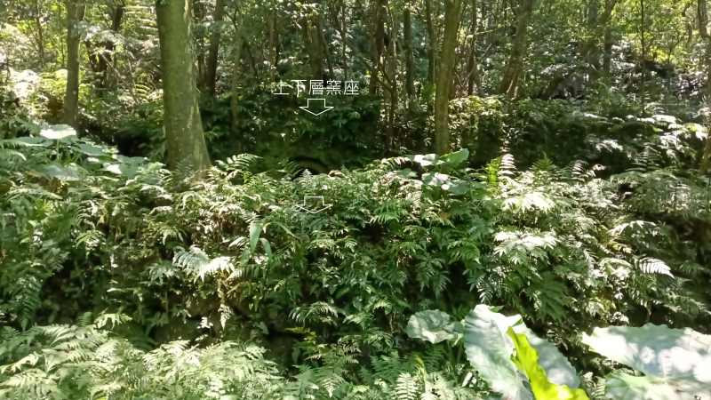 e5180c33465685145c62cc55e6333e8b.png