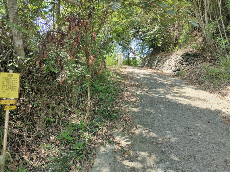 e529c8352c75b30509e8636523a2f919.jpg