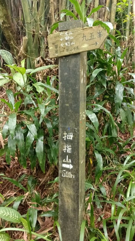 e55f4b1f1cf83881dd9c49a7af94e6a7.jpg