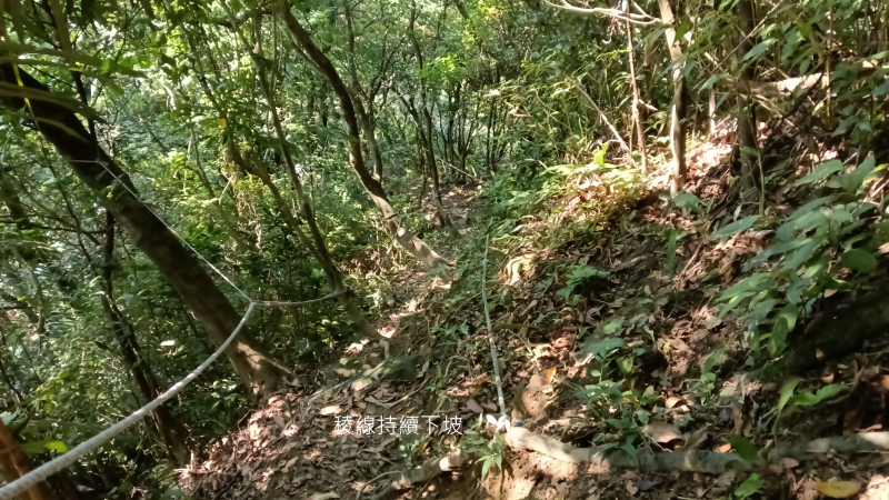 e56cfabaca18c5131ceda89460e9ff14.png
