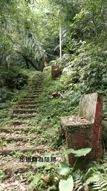 e59ca6ca4622d57636f75ef3630f752b.png