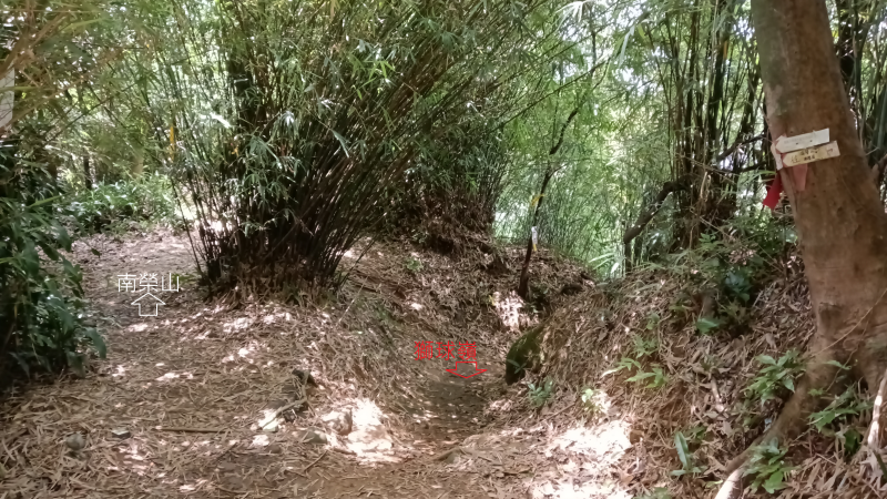 e61312733bd55bea7a3b545273da67cc.png