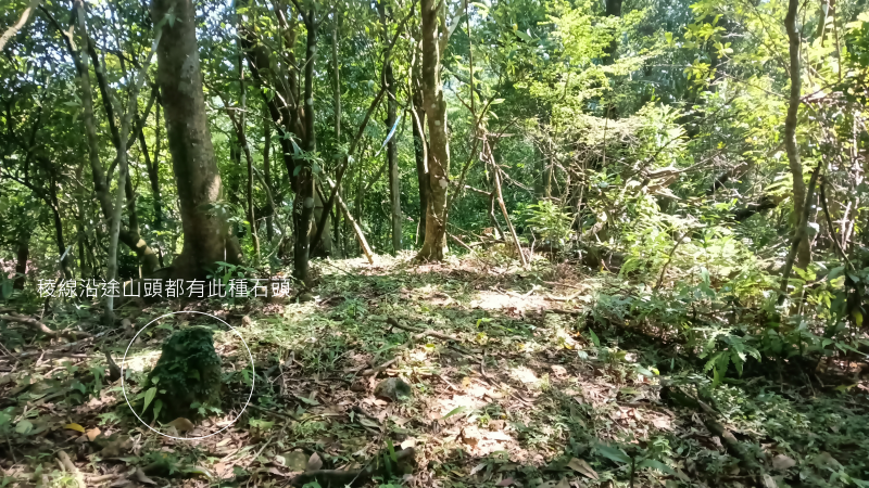 e625770755df742cb98628b58cfa8ed9.png