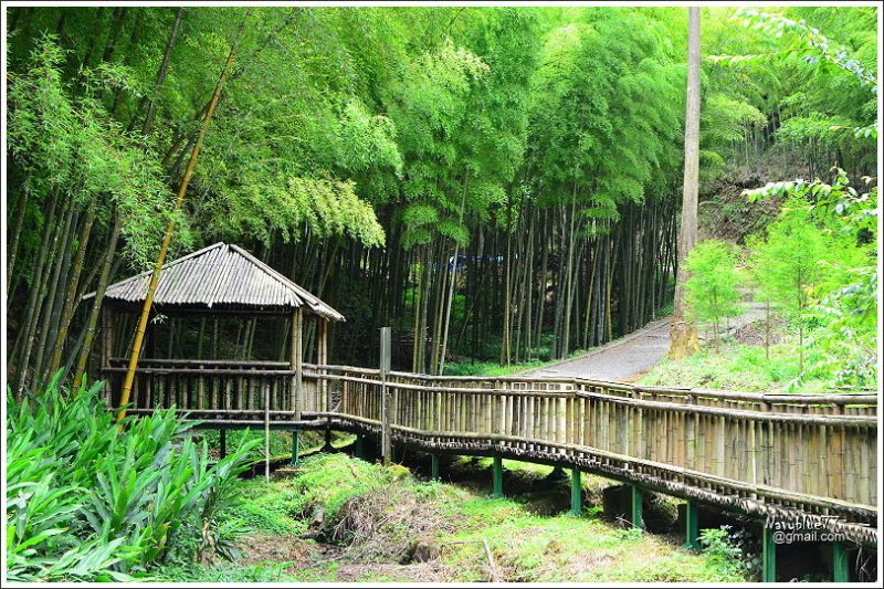 石壁木馬古道-五元二角-雲嶺之丘