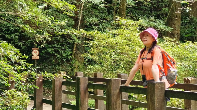 (姨婆趴趴走)第十六集:東滿步道,「台灣百大必訪步道」之一