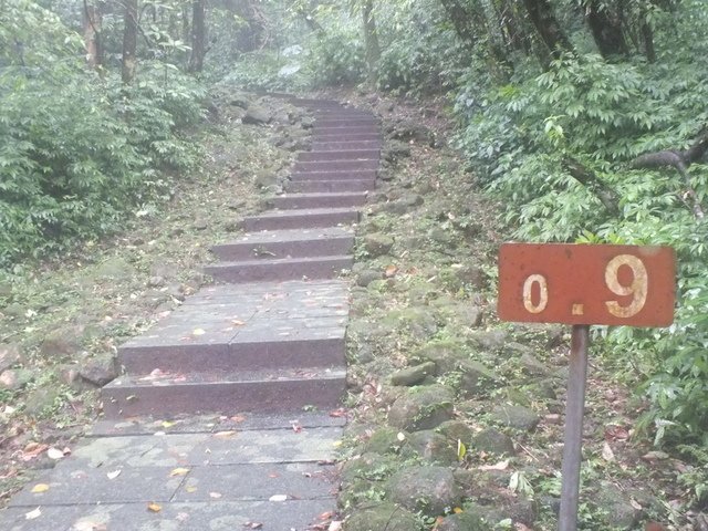 五分山稜線步道 (21).JPG - 雨霧五分山