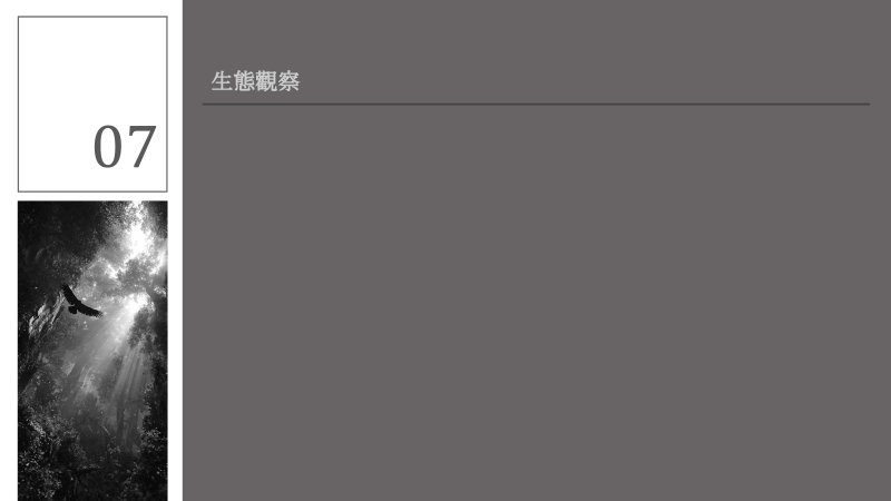 e7784a338cb323ea9c7b3a21954a6852.jpg