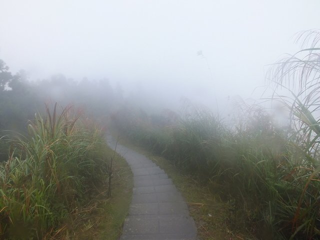五分山稜線步道 (47).JPG - 雨霧五分山