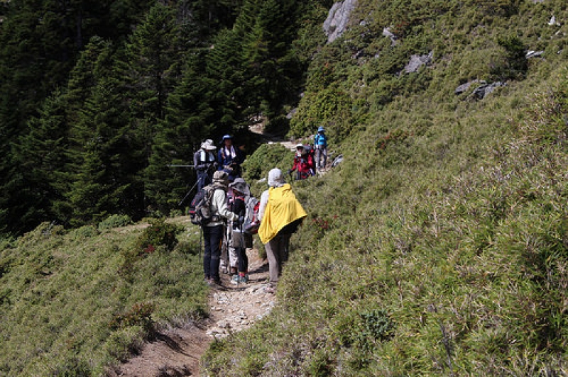 總量管制減少環境負擔以及登山者風險。