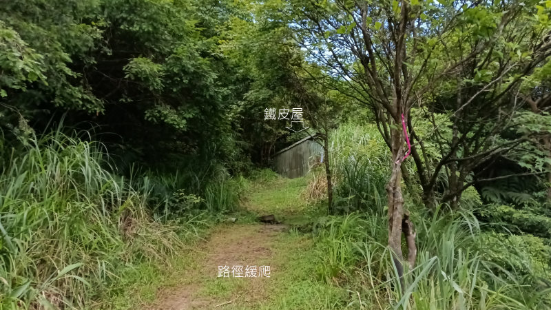 e80725007c302efe42259e689a5134d7.png