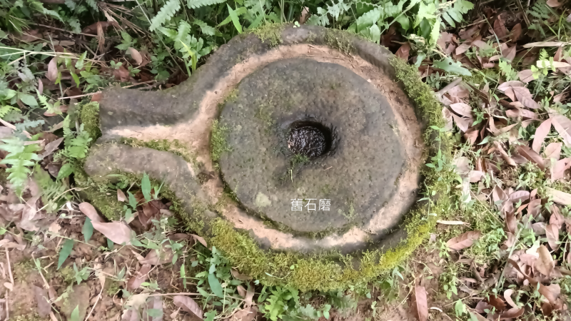 e8946043a5cc9a61ba6df4a38a284494.png