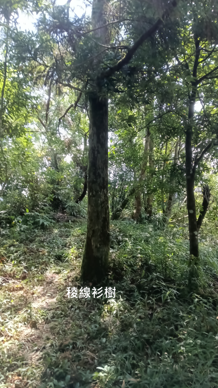 e8aab23a388c5bf093cda55e50153a62.png