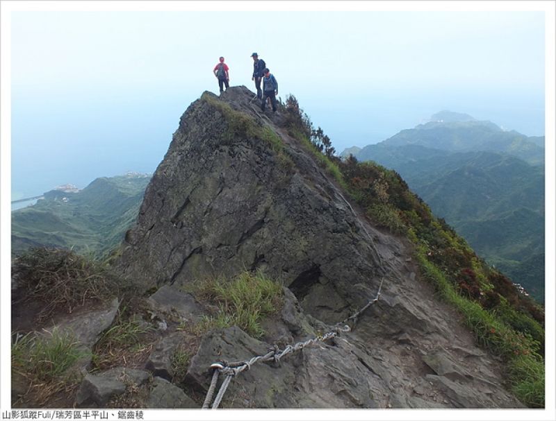 半平山 (33).JPG - 半平山杜鵑花