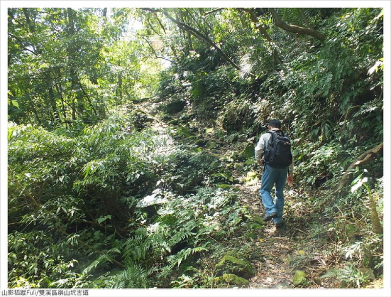 崩山坑古道 (60).JPG - 崩山坑古道