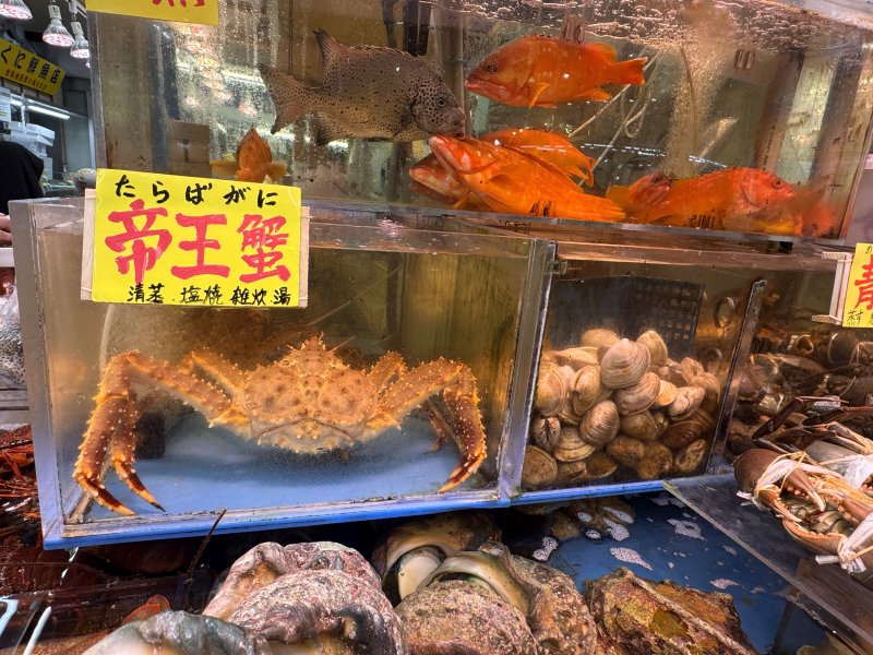 e9b550dbb6bb8e1297d3efdb6d28b4f6.jpg