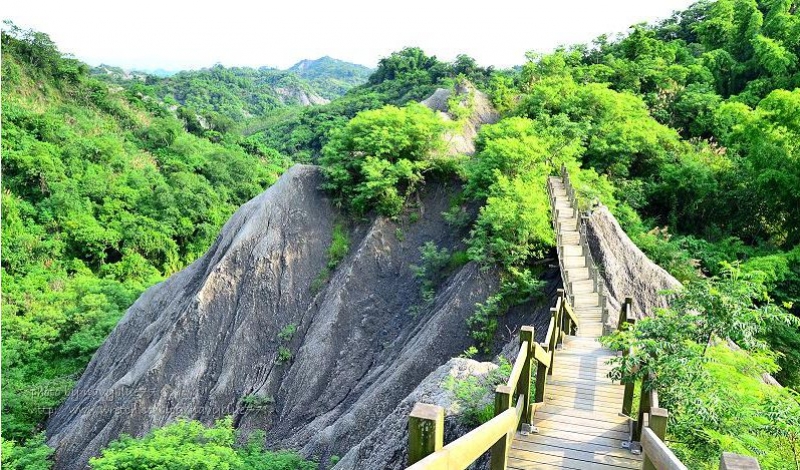 牛埔農塘步道