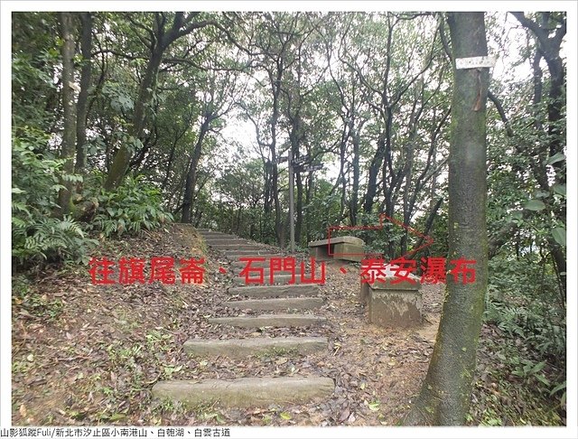 姜子寮山步道 (22).JPG - 姜子寮山步道櫻花