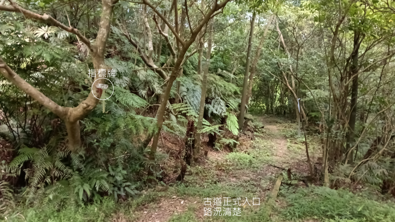 ea4cb7a984231b62c862ddb9b0416eb7.png