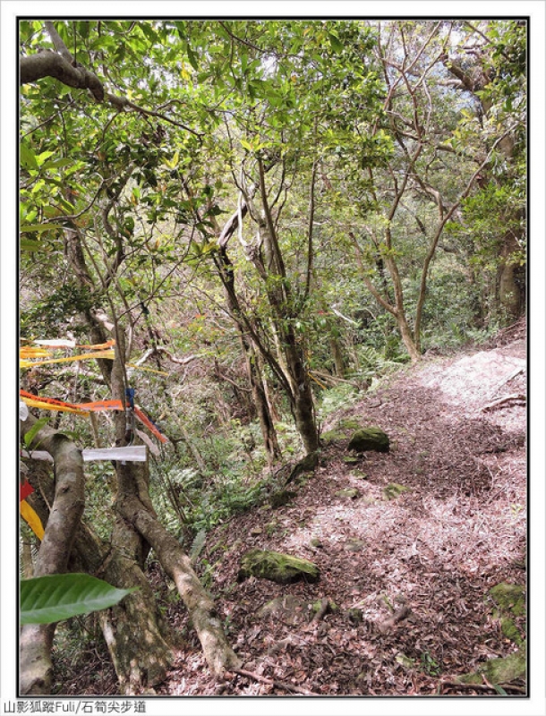 石筍尖步道 (46).jpg - 石筍尖步道