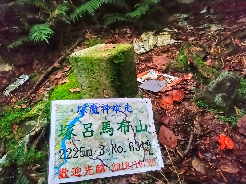 塚呂馬布山，海拔2225公尺，三等三角點