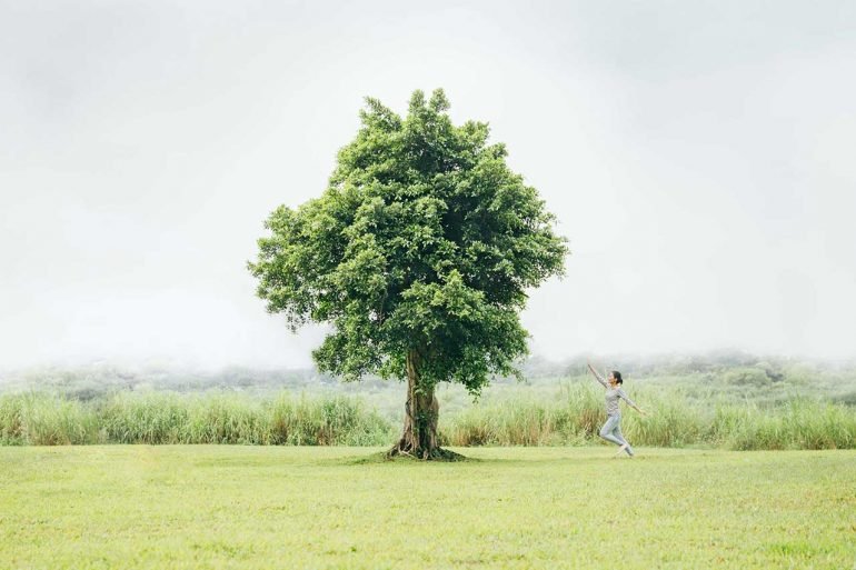 健康】壓力大時就去找一棵樹吧！50 個樹能對人和環境帶來的好處- 健行筆記