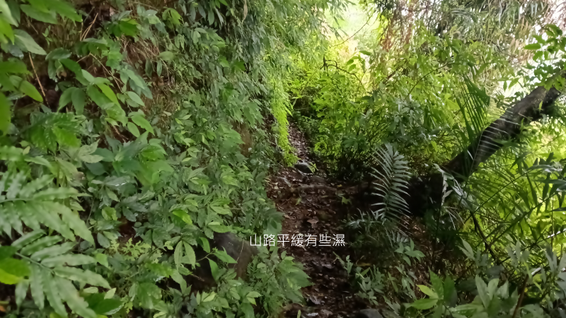eb53e2c47c4377a359dda70c9d9cd511.png