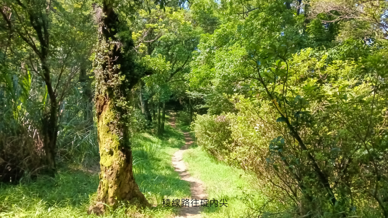 eb5727c5ad2008941de0d34a06571547.png