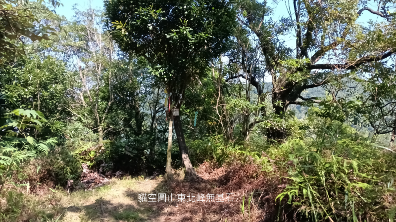eb7062104c3a5b2e49c02a7eec91fea5.png