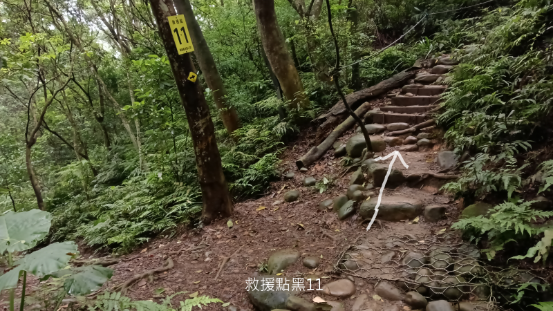 eb7583cdf3087a4922b458ea719a29c5.png