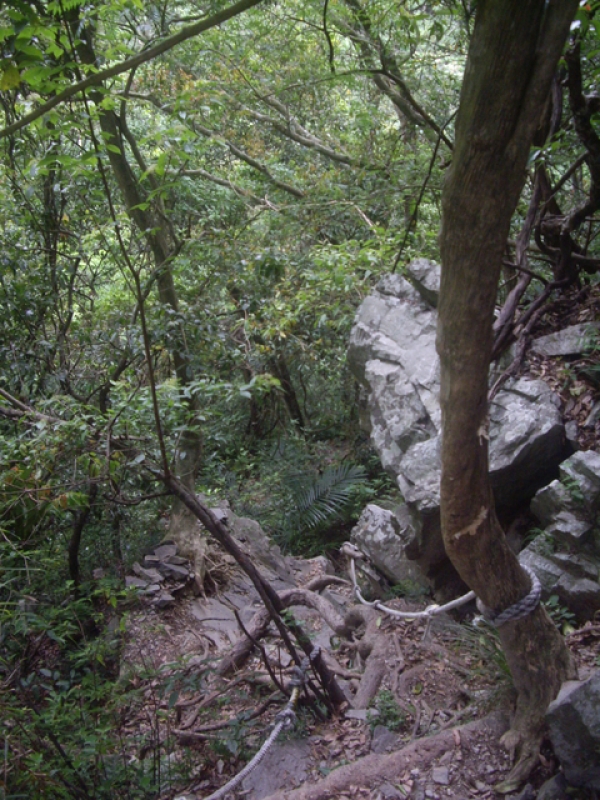 IMGP9217.JPG - 台中和平十文溪山、屋我尾山(麗陽線)