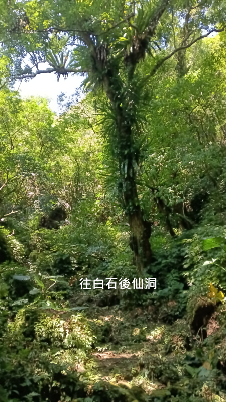 ebe29cf81821bb0c5480402a14505e08.png