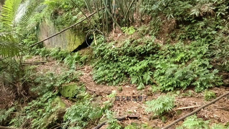 ec3b4520651985ab6e24b97edd3f2773.png