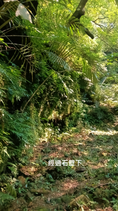 ec974abb2380a7e2e2ee7f78f0da3fe3.png