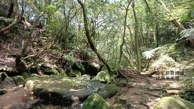 ec98f48dacf5df35cf4ff789d02efebb.png