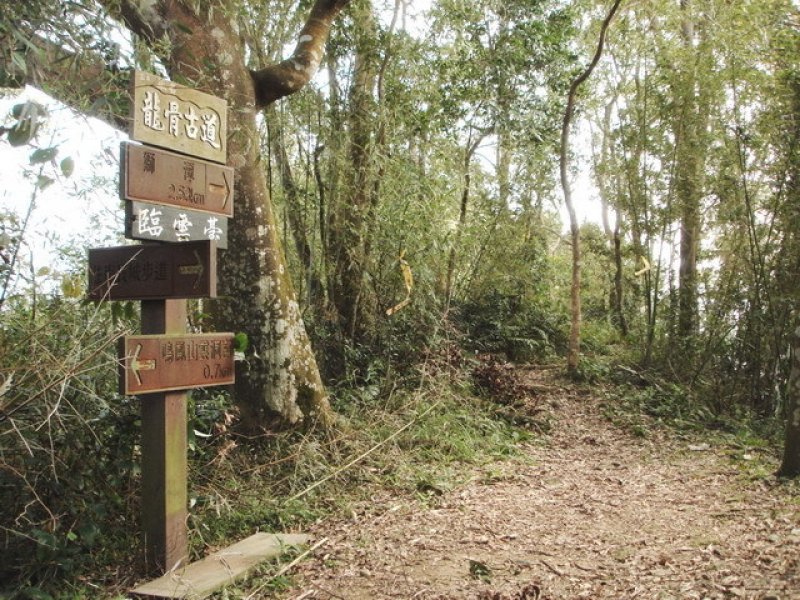 八達嶺古道(龍骨古道)、錫隘古道