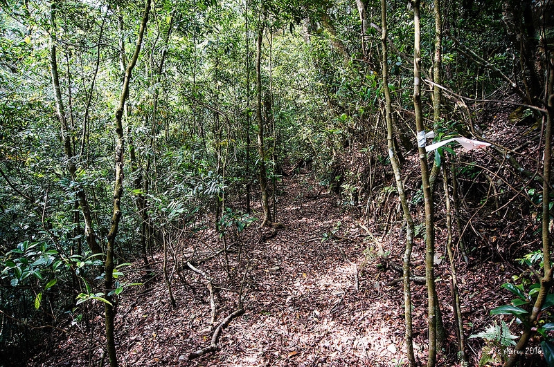 見付山山徑