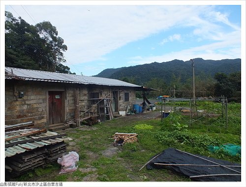 白雲古道 (51).JPG - 康誥坑溪山櫻花