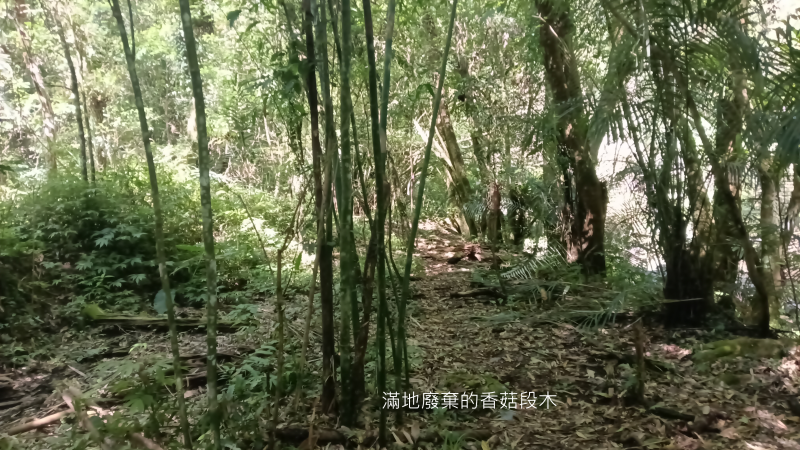 ed335587ccceb15a32cf5171d74e73e6.png
