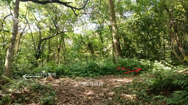 edf7d5796f2ed0b36ed4f56f20eecb74.png