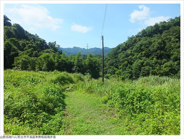 東勢格越嶺步道 (87).JPG - 東勢格越嶺步道