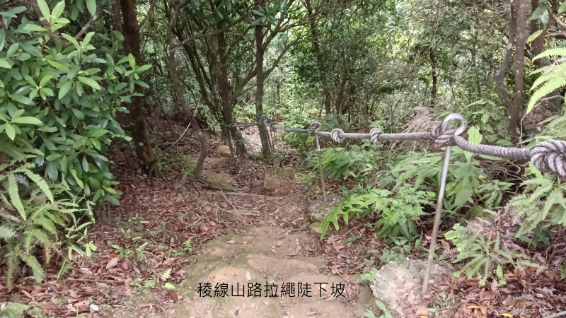 ee9edcb892265a0cc9a3198869903fdd.png