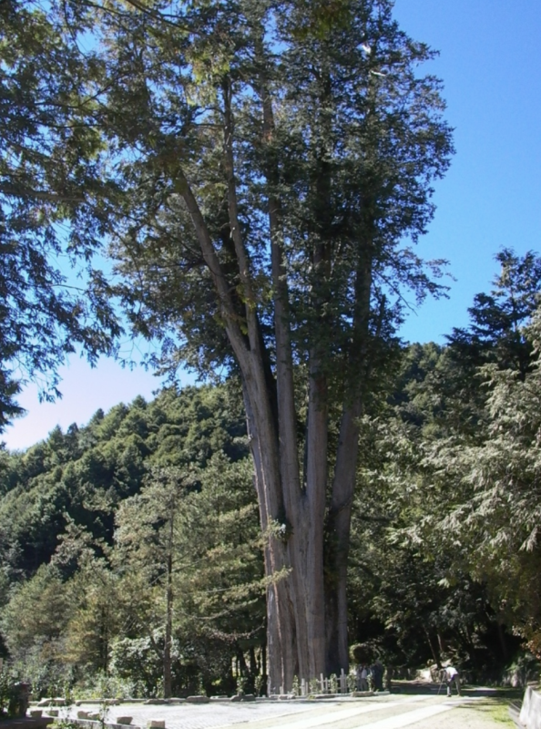 eecded80d500f9b13d6082b6ee65ab4a.png